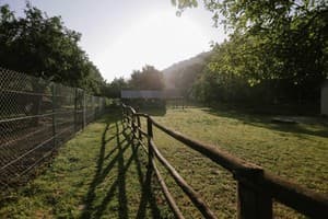 Богольвар 12