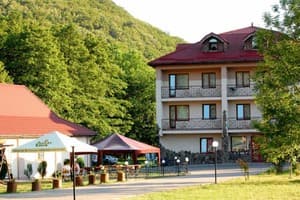 Богольвар 5