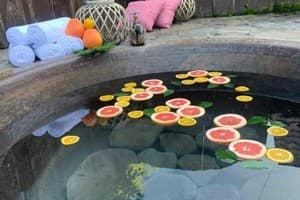 Богольвар 22