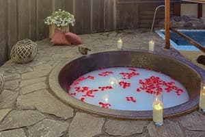 Богольвар 20