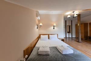 Отель Богольвар. Стандарт двухместный (супериор) 2