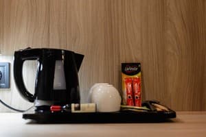 Отель Богольвар. Стандарт двухместный для лиц с ограниченными физическими возможностями 5