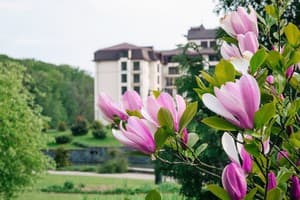 Деренівська Купіль 23