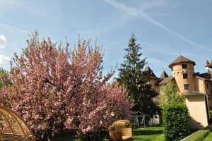 Kamelot Hotel Resort & SPA 14