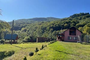 Частная усадьба Соколув камень