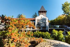 Verkhovyna Resort Medical & Wellness 8