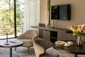 Санаторій Verkhovyna Resort Medical & Wellness 5*. Люкс двомісний Верховина Делюкс 1