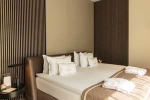 Санаторій Verkhovyna Resort Medical & Wellness 5*. Люкс двомісний Верховина Делюкс 3