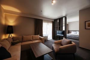 Санаторій Verkhovyna Resort Medical & Wellness 5*. Суперіор двомісний покращений 3